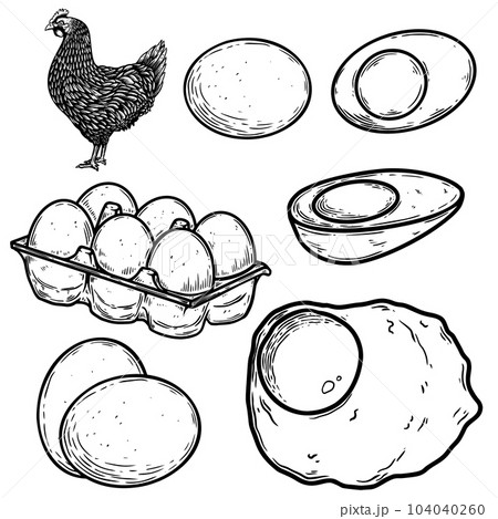 Set of illustrations of chicken and eggs in engraving style. Design element for poster, card, banner, sign. Vector illustration 104040260