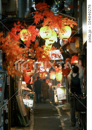 【東京都 新宿区】 赤提灯が綺麗な夜の思い出横丁 【東京都 新宿区】 赤提灯が綺麗な夜の思い出横丁 104040276