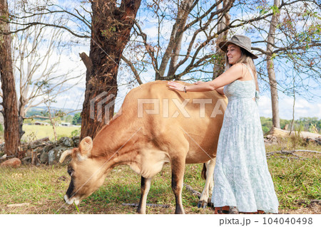 オーストラリアの牧場で牛に触れる南米出身の女性 オーストラリアの牧場で牛に触れる南米出身の女性 104040498