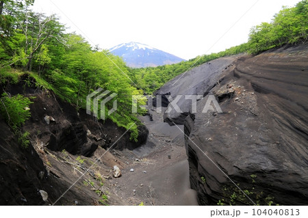 日本版グランドキャニオン富士山 104040813