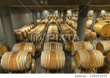 wine cellar full of wooden barrels in Barolo, Piedmont, Italy 104041035