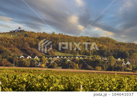 Gombos-hegyi pincesor in Hercegkut, UNESCO site, Great Plain, North Hungary Gombos-hegyi pincesor in Hercegkut, UNESCO site, Great Plain, North Hungary 104041037