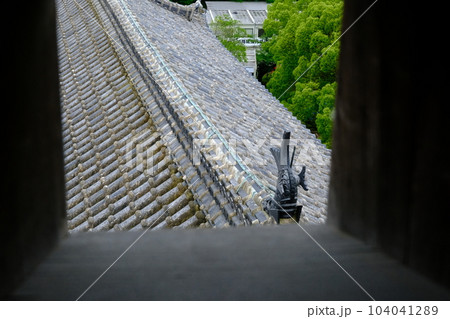 狭間から見える世界　姫路城 104041289