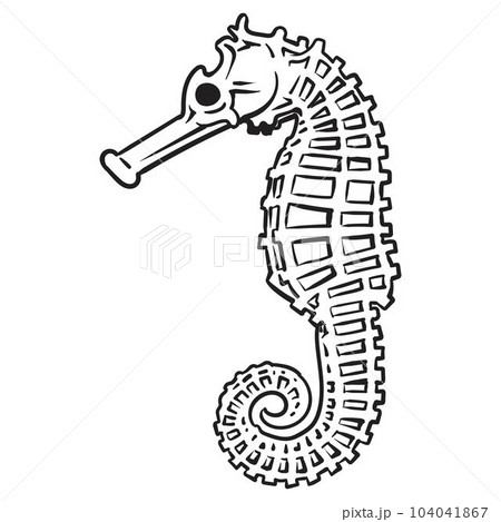 Seahorse hand drawn doodle outline 104041867