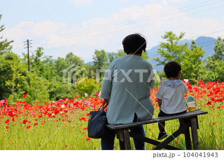 20230606_芦沢高原ハーバルパーク_ポピー5_ばぁばと孫 20230606_芦沢高原ハーバルパーク_ポピー5_ばぁばと孫 104041943