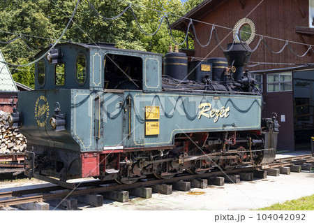 narrow gauge railway in Gemenc-Dunapart, Hungary narrow gauge railway in Gemenc-Dunapart, Hungary 104042092