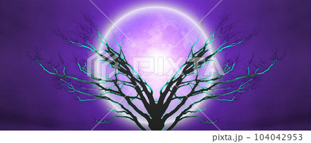 Tree of Life Tree of Life 104042953