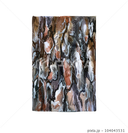 Realistic wood texture bark isolated on white background. Watercolor hand drawing detailed illustration. Art for design 104043531
