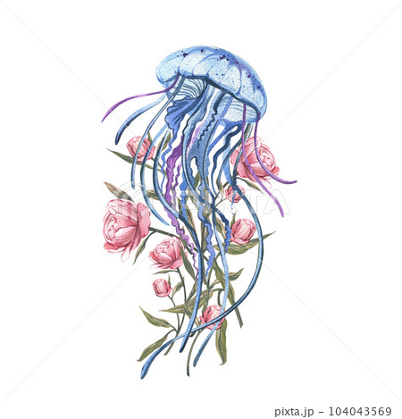 Blue Jellyfish, pink peony flowers, bud isolated on white background. Watercolor hand drawn illustration. Art for design 104043569