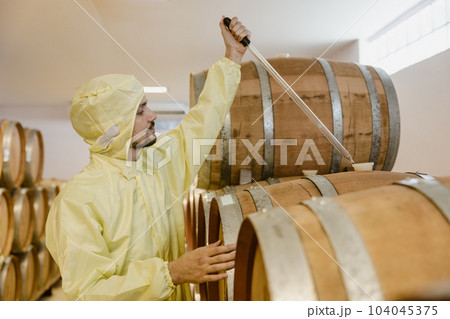 wine maker specialist worker work in win factory test wine taste aroma fermentation in oakwood barrel tank. wine maker specialist worker work in win factory test wine taste aroma fermentation in oakwood barrel tank. 104045375
