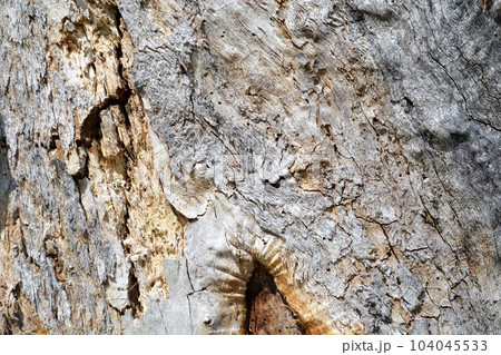 Texture of an old wood wall as a background. Texture of an old wood wall as a background. 104045533