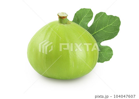 Ripe green fig fruit isolated on white background with full depth of field 104047607