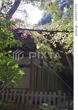 秋の醍醐寺 清龍宮拝殿【国宝】 秋の醍醐寺 清龍宮拝殿【国宝】 104047743
