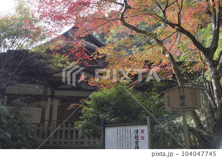 秋の醍醐寺 清龍宮拝殿【国宝】 秋の醍醐寺 清龍宮拝殿【国宝】 104047745