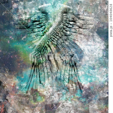 Angel wings Angel wings 104048628
