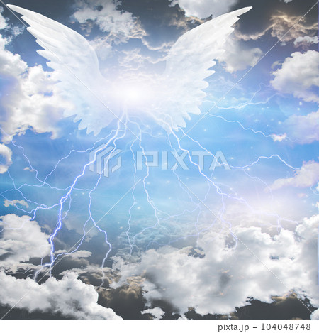 Angel wings 104048748