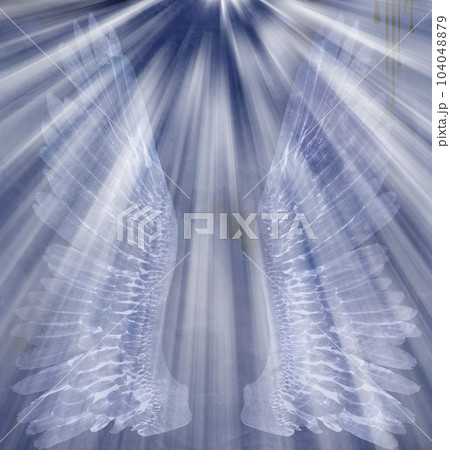 Angel Wings Angel Wings 104048879