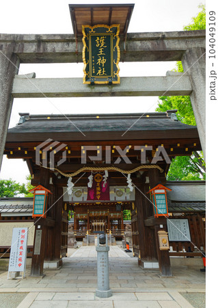 護王神社　足腰の守護神　若葉に新緑 104049109