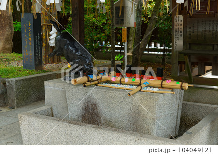 護王神社　霊猪手水舎　幸運の霊猪 104049121