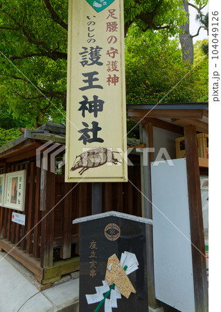 護王神社 足腰の守護神 若葉に新緑 護王神社 足腰の守護神 若葉に新緑 104049126