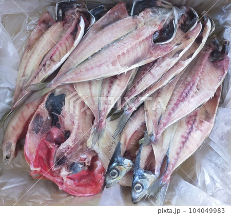 魚 魚 104049983