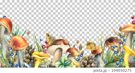 Forest mushrooms, boletus, chanterelles and blueberries, lingonberries, twigs, cones, leaves. Watercolor illustration, hand drawn template on a white background Forest mushrooms, boletus, chanterelles and blueberries, lingonberries, twigs, cones, leaves. Watercolor illustration, hand drawn template on a white background 104050275