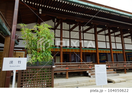 京都御所　清涼殿　若葉に新緑 104050622