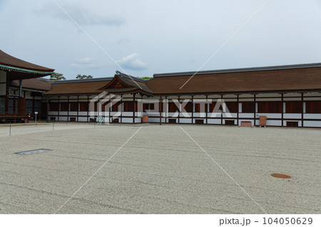 京都御所　蹴鞠の庭　若葉に新緑 104050629