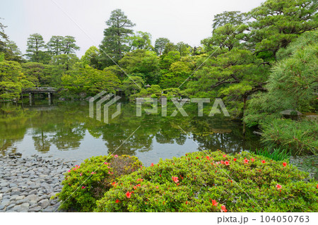 京都御所 御池庭 御内庭 若葉に新緑 京都御所 御池庭 御内庭 若葉に新緑 104050763