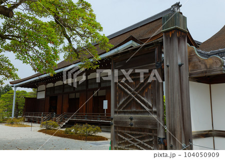 京都御所　御三間　若葉に新緑 104050909