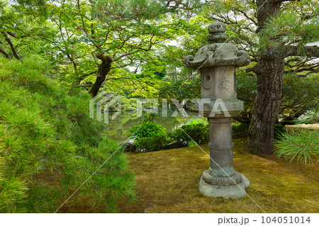 京都御所　御池庭　御内庭　若葉に新緑 104051014