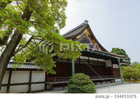 京都御所　御学問所　若葉に新緑 104051073