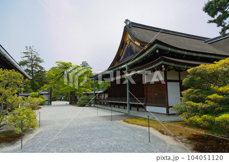 京都御所　御常御殿　若葉に新緑 104051120