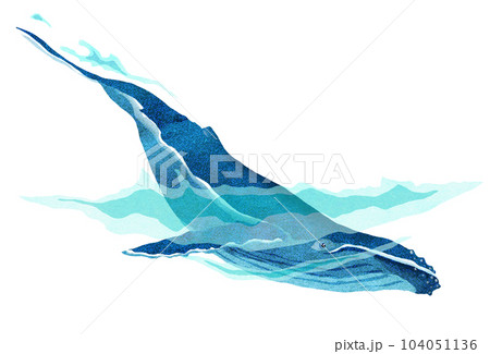 楽しそうに泳ぐザトウクジラのイラスト 104051136