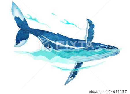 すいすい泳ぐクジラのイラスト 104051137