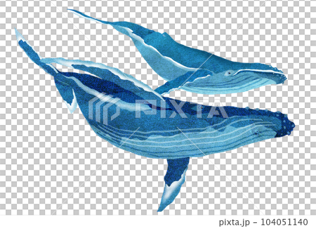 大海原をゆったり回遊クジラのイラスト 104051140