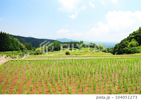 八重の棚田の風景 八重の棚田の風景 104051273