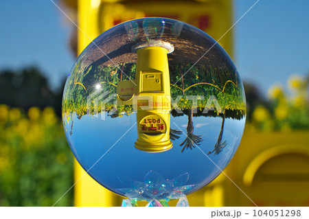 【渥美半島 菜の花まつり (水晶玉)】 愛知県田原市堀切町浜薮 104051298