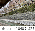 船の上から見tるサクラ 104051825