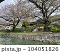 船の上から見tるサクラ 104051826