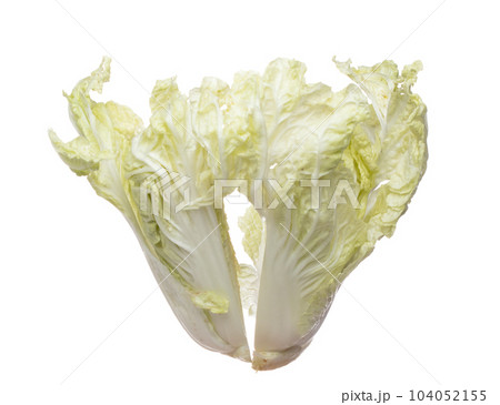 Chinese Cabbage fly fall in mid air, green fresh vegetable chinese cabbage cut chop slice half. Organic fresh vegetable with eaten leaf of chinese cabbage, close up texture. White background isolated Chinese Cabbage fly fall in mid air, green fresh vegetable chinese cabbage cut chop slice half. Organic fresh vegetable with eaten leaf of chinese cabbage, close up texture. White background isolated 104052155