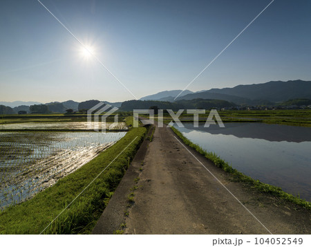 明日香村に広がる水田の風景 104052549