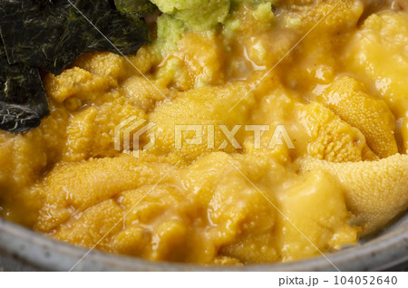 新鮮で美味しいうに丼 新鮮で美味しいうに丼 104052640