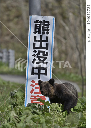 クマ出没中①（北海道） 104052721