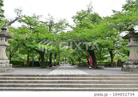 三嶋大社 参道 三嶋大社 参道 104052734