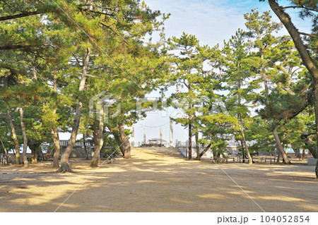 【津田の松原】 香川県さぬき市津田町津田 104052854