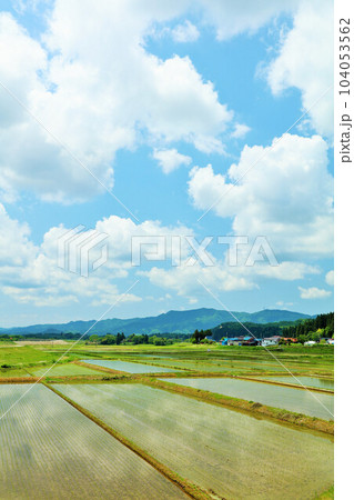 秋田県 青空と白い雲の水田風景 秋田県 青空と白い雲の水田風景 104053562