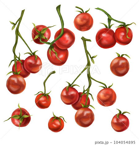 A large set of red cherry tomatoes on a twig. Digital illustration on a white background. Applicable for packaging design, postcards, prints, textiles 104054895