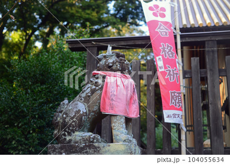 上宮天満宮神前の狛犬吽形像 上宮天満宮神前の狛犬吽形像 104055634