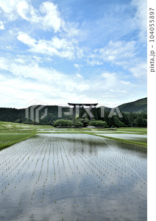 大斎原の大鳥居(水田) 【和歌山県田辺市本宮町】 大斎原の大鳥居(水田) 【和歌山県田辺市本宮町】 104055897